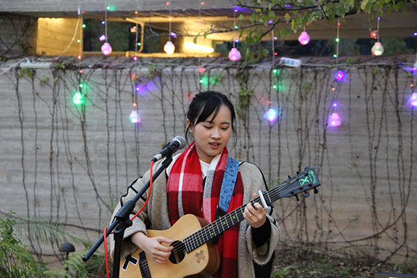 太陽能路燈，太陽能路燈廠家，太陽能路燈價格