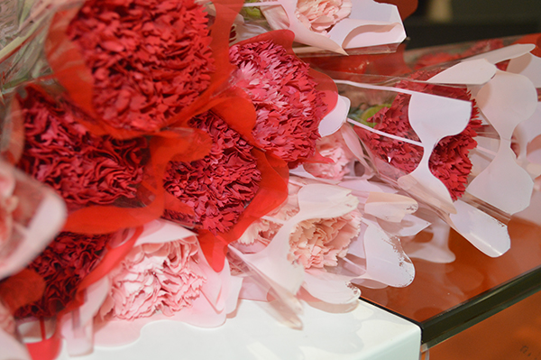 太陽能路燈，太陽能路燈廠家，太陽能路燈價格