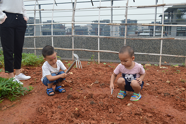 太陽能路燈，太陽能路燈廠家，太陽能路燈價格