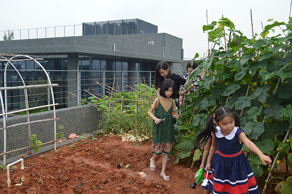 太陽能路燈，太陽能路燈廠家，太陽能路燈價格
